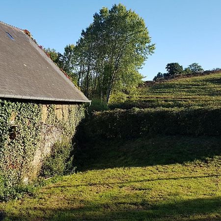 Ferienwohnung La Puisatiere Saint-Pierre-d'Artheglise Exterior foto